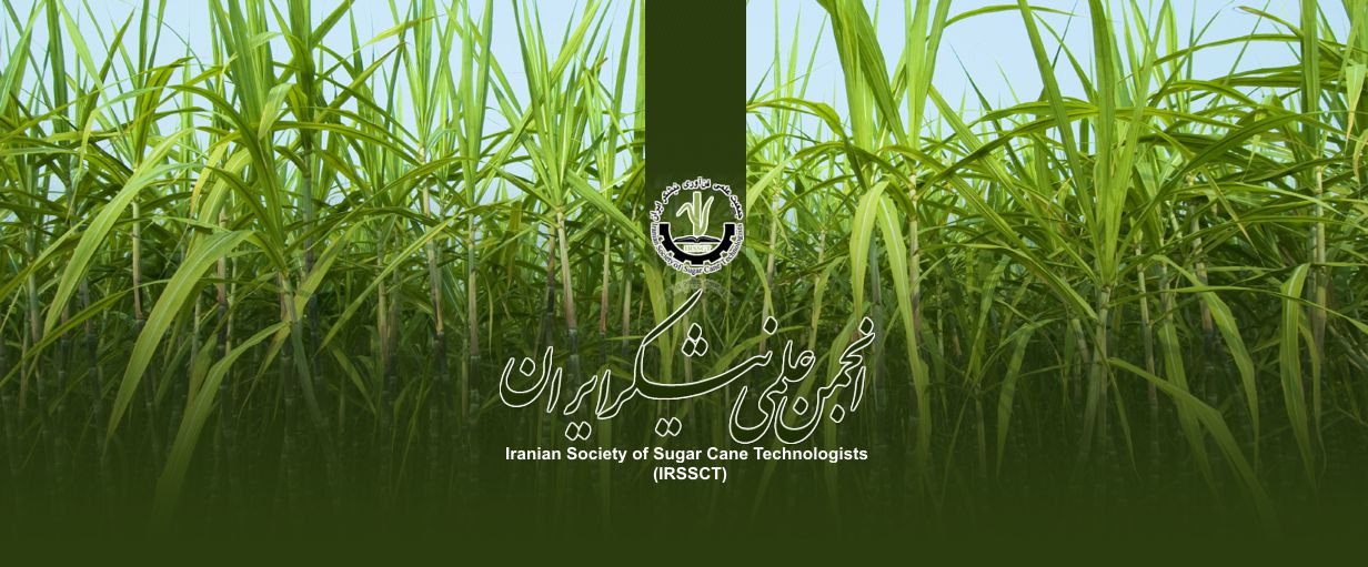 صفحه ورودی شرکتی ۳